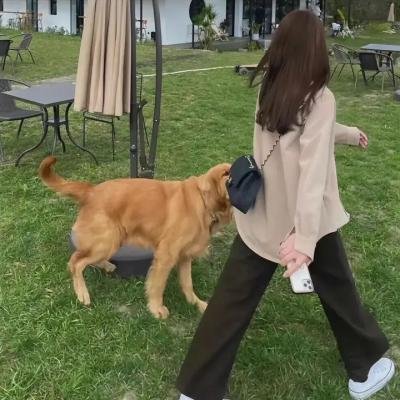 生命中最美好的是自由